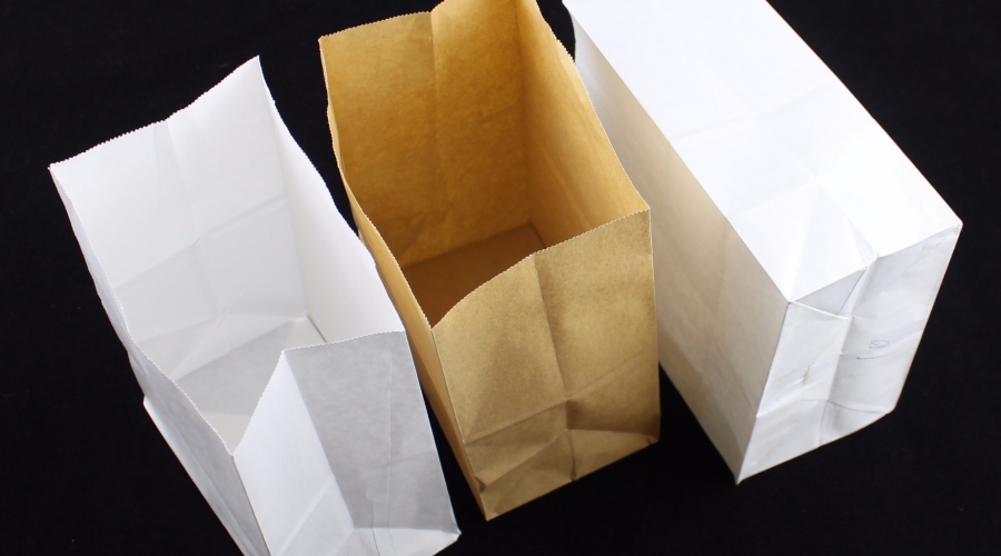 biodegradable paper bags